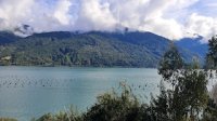 Monitoreo larval fortalece la sustentabilidad de la mitilicultura en el sur austral de Chile